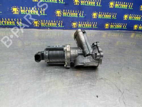 Egr OPEL MERIVA A MPV (X03)  | BP8450375M69 