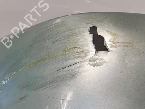 Front bumper LAND ROVER RANGE ROVER SPORT I (L320) 2.7 D 4x4 | BP11834486C7 