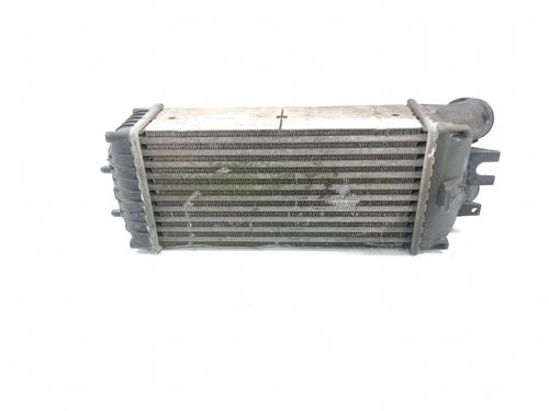 Intercooler SANTANA 300 Open Off-Road Vehicle  | BP28073534M30 