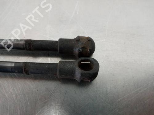 Tailgate lift support SEAT AROSA (6H1) 1.0 | BP16172846C138 