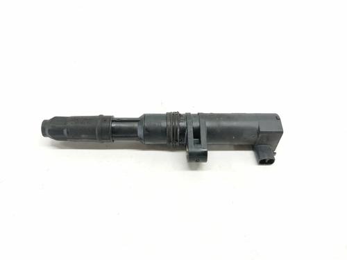 Used Ignition coil RENAULT SCÉNIC II (JM0/1_) [2003-2010]  10141707