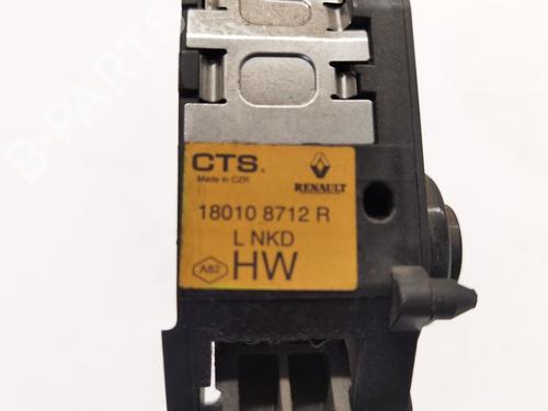 Pedal DACIA DOKKER Box Body/MPV 1.5 dCi 75 / Blue dCi 75 (FEJW, FEAH) | BP28530025I4 