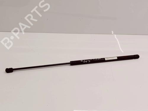 Used Hood lift support CITROËN XSARA (N1) 2.0 HDi 90 (90 hp) 14023408
