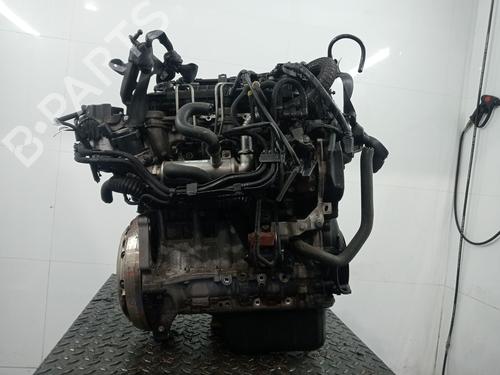 Engine FORD C-MAX (DM2) 1.6 TDCi | BP33161568M1 - Image 3