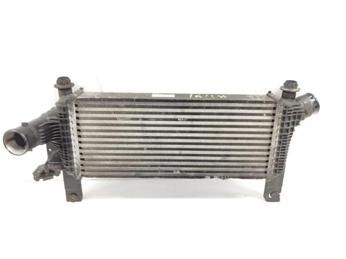 Used Intercooler NISSAN PATHFINDER III (R51) 2.5 dCi 4WD (190 hp) 16359476