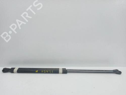 Amortiguador portón/maletero RENAULT SUPER 5 (B/C40_) [1984-1996]  14020992