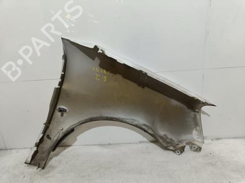 Left front fenders CITROËN BERLINGO / BERLINGO FIRST Box Body/MPV (M_)  | BP27410305C41 