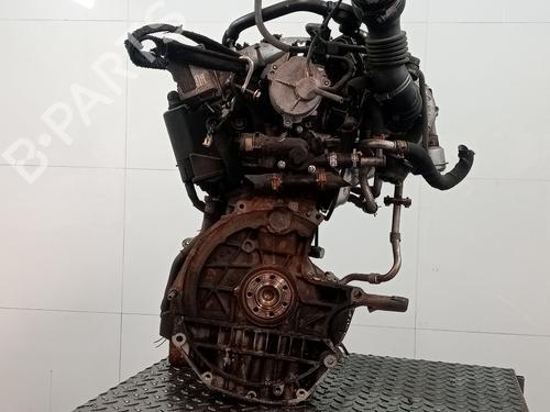 Engine RENAULT MEGANE II (BM0/1_, CM0/1_)  | BP26722530M1 