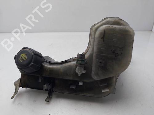 Used Expansion tank Expansion tank RENAULT LAGUNA III (BT0/1) [2007-2015] 40076816 40076816
