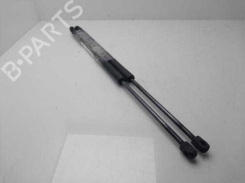 Tailgate lift support HONDA CR-V III (RE_) 2.2 i-CTDi 4WD (RE6) | BP31316398C138