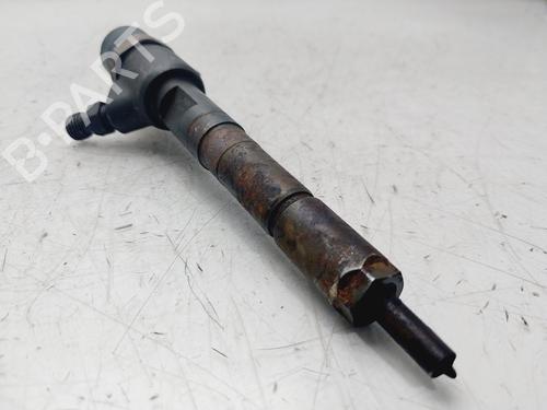 Injector FIAT DOBLO MPV (119_, 223_) 1.3 JTD | BP29820892M100 