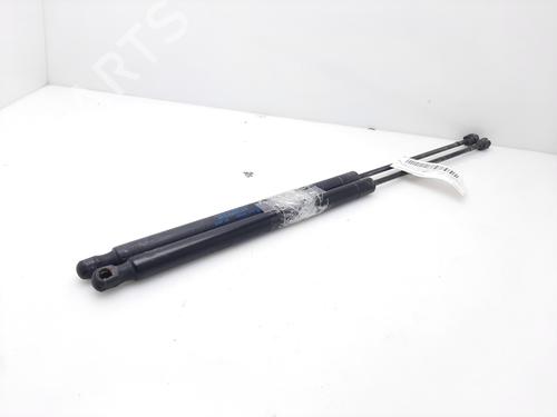 Tailgate lift support FORD KUGA I  | BP16527043C138