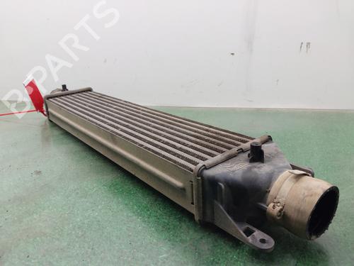 Intercooler FIAT BRAVO II (198_)  | BP29326351M30 