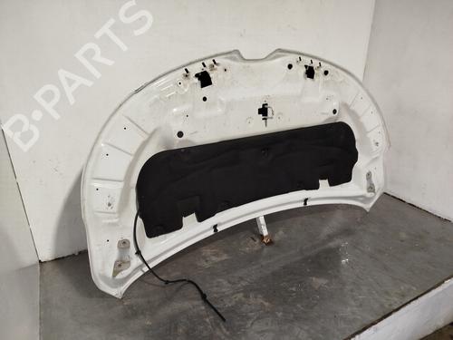 Hood RENAULT KANGOO III MPV  | BP31265398C1 