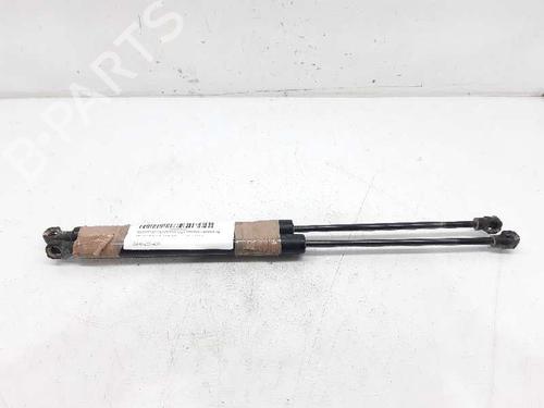 Used Tailgate lift support DACIA SANDERO II [2012-2025]  13994452