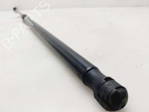 Hood lift support AUDI A3 Sportback (8VA, 8VF)  | BP27474066C139 