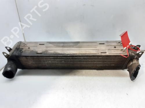 Used Intercooler LAND ROVER DISCOVERY III (L319) 2.7 TD 4x4 (190 hp) 8419962