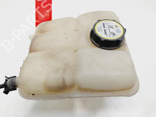 Expansion tank FORD C-MAX II (DXA/CB7, DXA/CEU) | BP32261569C120
