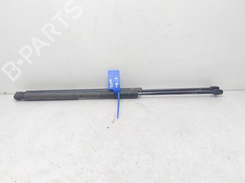 Tailgate lift support LAND ROVER RANGE ROVER SPORT I (L320) 3.6 D 4x4 | BP14008735C138 