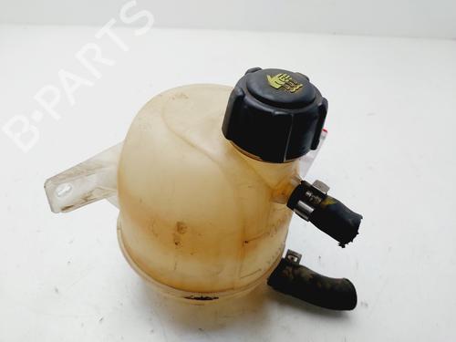 Used Expansion tank DACIA SANDERO [2008-2025]  25709829