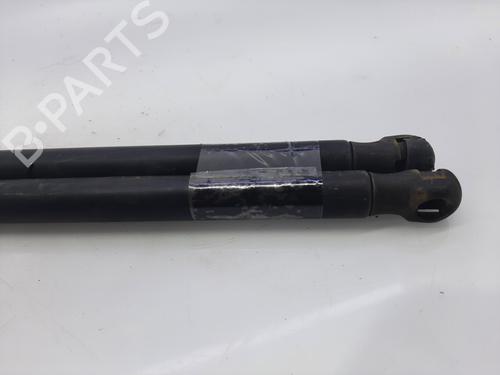 Tailgate lift support FORD FIESTA V (JH_, JD_) 1.4 TDCi | BP14004395C138 