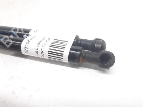Tailgate lift support BMW 3 (E46) 320 d | BP13998194C138 
