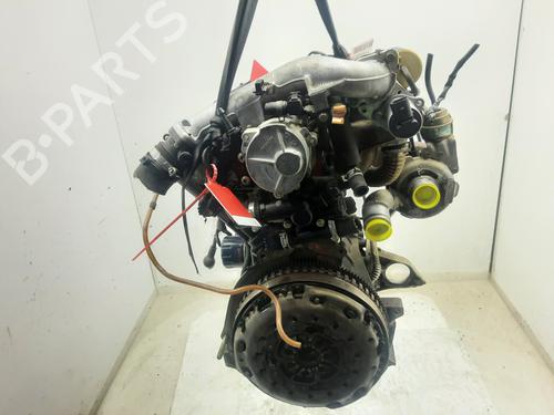 Engine NISSAN PRIMERA (P12)  | BP33962898M1  - Image 5