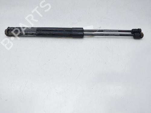 Used Hood lift support CHEVROLET CAPTIVA (C100, C140) 2.0 D (150 hp) 14009194