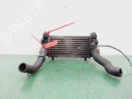 Używane Intercooler / Chłodnica powietrza doładowującego AUDI A2 (8Z0) 1.4 TDI (75 hp) 30506712
