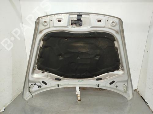 Hood VW TOUAREG (7LA, 7L6, 7L7)  | BP25297352C1 
