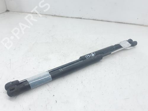 Used Tailgate lift support CITROËN C3 I (FC_, FN_) 1.4 i Bivalent (73 hp) 13998683