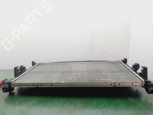 Køler RENAULT AUSTRAL  | BP29620849M31 