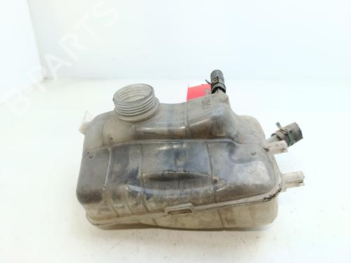 Used Expansion tank RENAULT MEGANE III Grandtour (KZ0/1) [2008-2016]  28292734