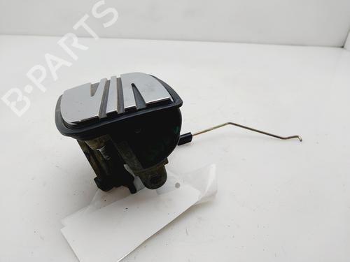 Tailgate handle SEAT IBIZA III (6L1)  | BP29519231C132 
