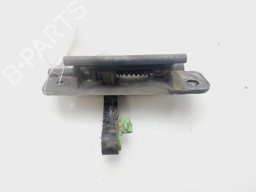 Tailgate handle CHEVROLET AVEO / KALOS Hatchback (T200) 1.4 | BP29176416C132 