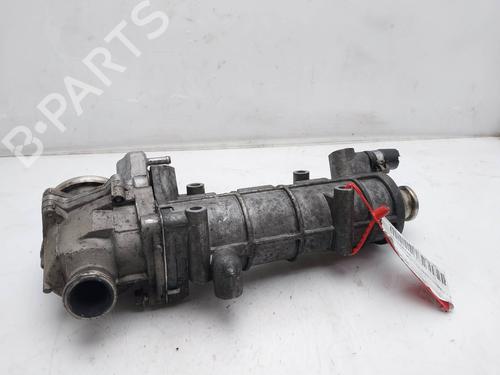 Egr FIAT DUCATO Van (250_) | BP19258929M69