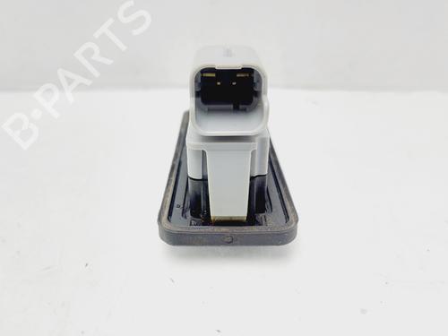 Tailgate handle DACIA SANDERO III  | BP23082534C132 
