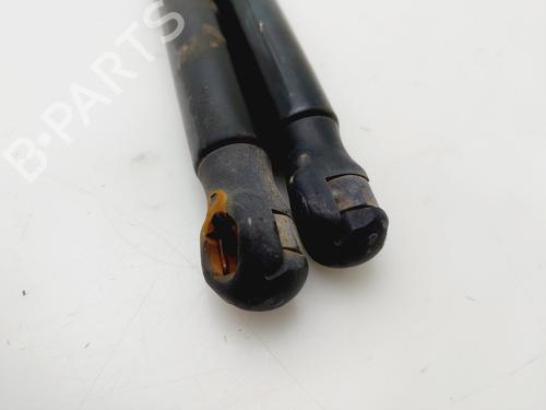 Tailgate lift support SEAT IBIZA III (6L1)  | BP28183756C138 