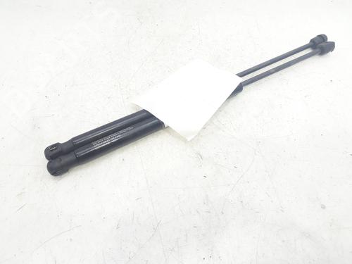 Used Tailgate lift support CITROËN C3 I (FC_, FN_) 1.1 i (60 hp) 14003945