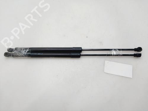 Gasdæmper bagklap DACIA LODGY (JS_) [2012-2026]  31316392