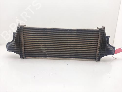 Intercooler MERCEDES-BENZ M-CLASS (W164) ML 280 CDI 4-matic (164.120) | BP16324890M30 