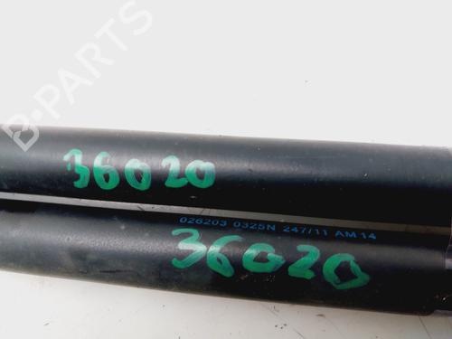 Tailgate lift support VW POLO V (6R1, 6C1) 1.6 TDI | BP21397145C138 