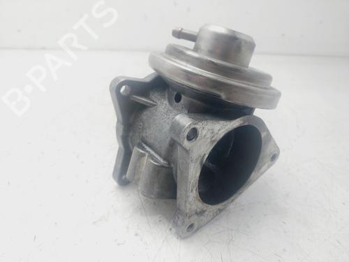 Egr SEAT IBIZA III (6L1) | BP29519173M69