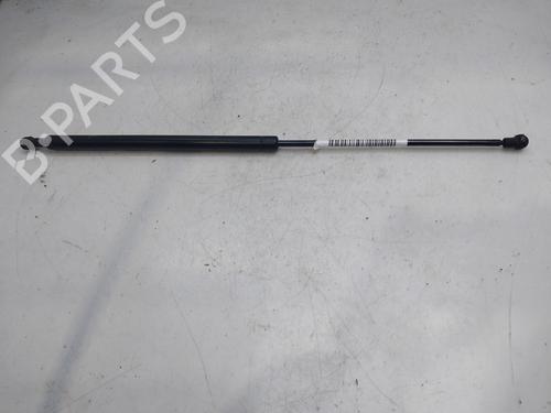 Hood lift support CITROËN XSARA Coupe (N0) 2.0 HDI 90 | BP17051063C139 