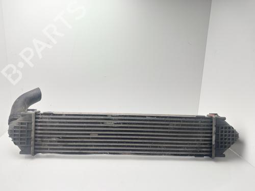 Intercooler FORD KUGA I | BP32256247M30