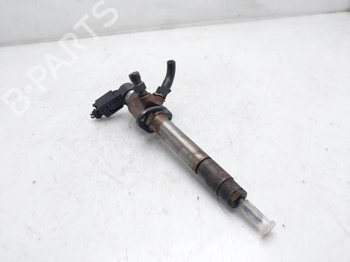 Injector LAND ROVER RANGE ROVER SPORT I (L320) 2.7 D 4x4 | BP17706836M100 