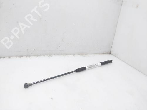 Hood lift support ALFA ROMEO GIULIETTA (940_) 1.6 JTDM (940FXD1A) | BP18109129C139 