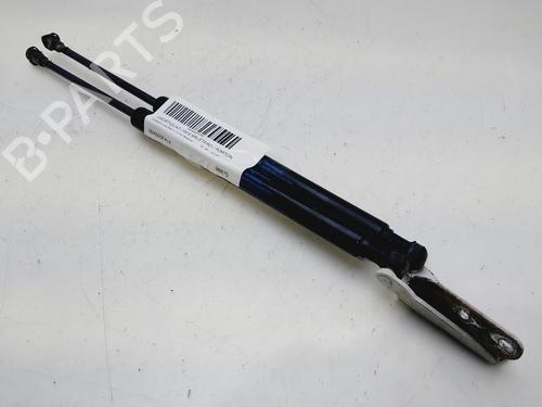 Tailgate lift support NISSAN MICRA V (K14) | BP30497915C138