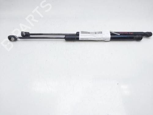 Vérin de coffre/hayon VW SCIROCCO III (137, 138) 2.0 TDI (177 hp) 14008448