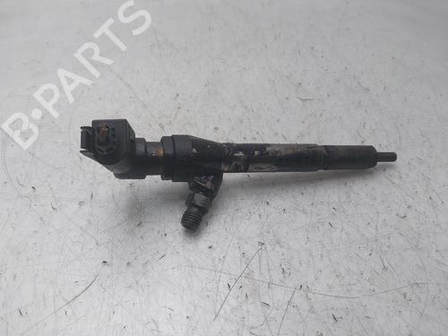 Injector RENAULT MEGANE II (BM0/1_, CM0/1_) | BP30769611M100